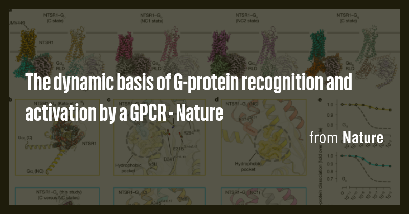 The dynamic basis of G-protein recognition and activation by a GPCR ...