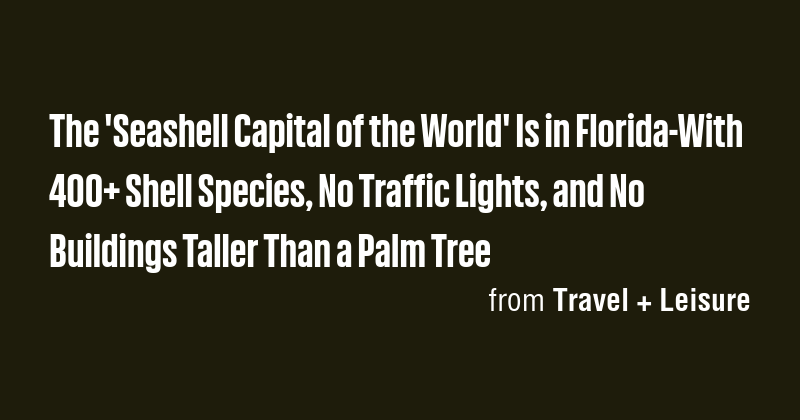 The 'Seashell Capital of the World' Is in Florida-With 400+ Shell ...