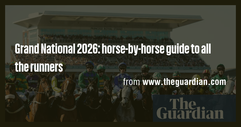 Grand National 2026: horse-by-horse guide to all the runners - Briefly