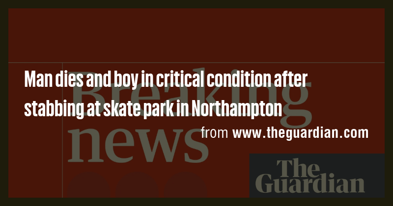 Man dies and boy in critical condition after stabbing at skate park in ...