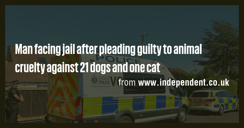 Man facing jail after pleading guilty to animal cruelty against 21 dogs ...