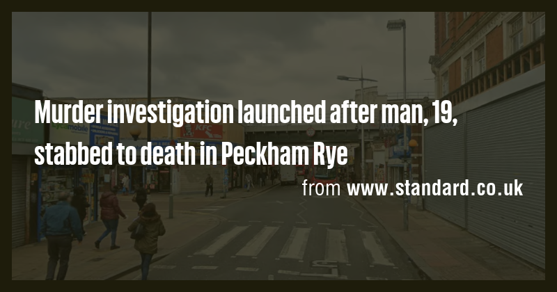 Murder investigation launched after man, 19, stabbed to death in ...