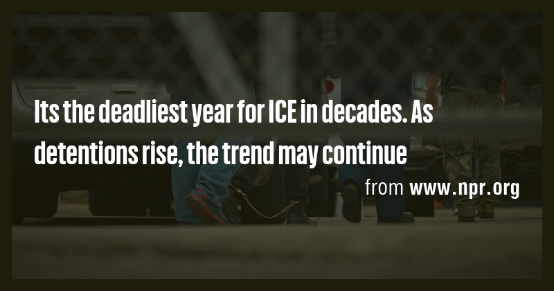 Its the deadliest year for ICE in decades. As detentions rise, the ...