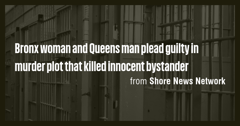 Bronx woman and Queens man plead guilty in murder plot that killed ...