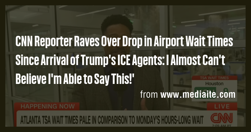 CNN Reporter Raves Over Drop in Airport Wait Times Since Arrival of ...