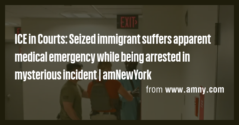 ICE in Courts: Seized immigrant suffers apparent medical emergency ...