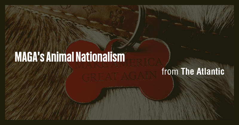 MAGA's Animal Nationalism - Briefly