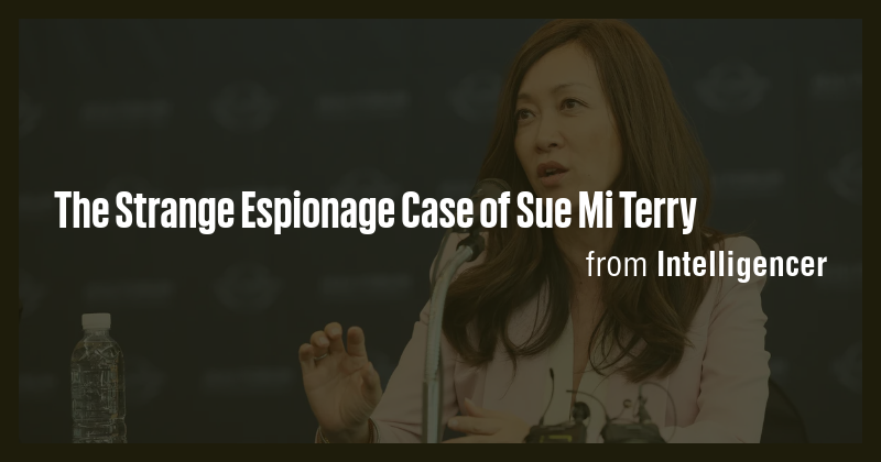 The Strange Espionage Case of Sue Mi Terry - Briefly
