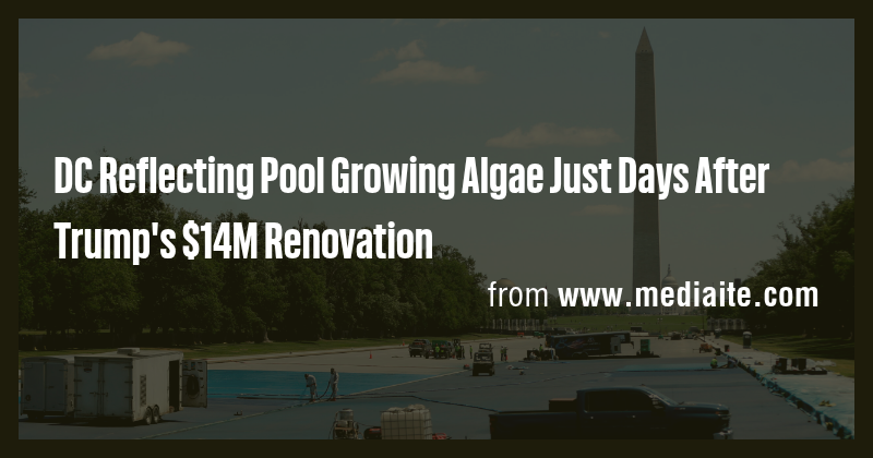 DC Reflecting Pool Growing Algae Just Days After Trump's $14M ...