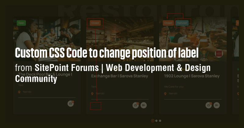 Custom CSS Code to change position of label - Briefly