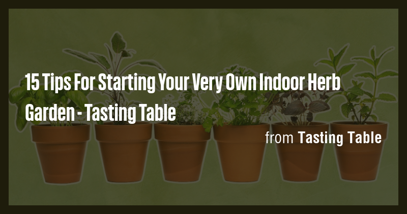 15 Tips For Starting Your Very Own Indoor Herb Garden - Tasting Table ...