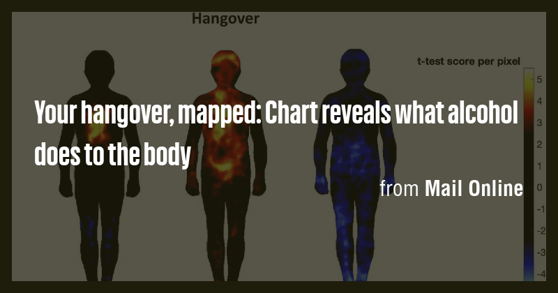 Your hangover, mapped: Chart reveals what alcohol does to the body ...
