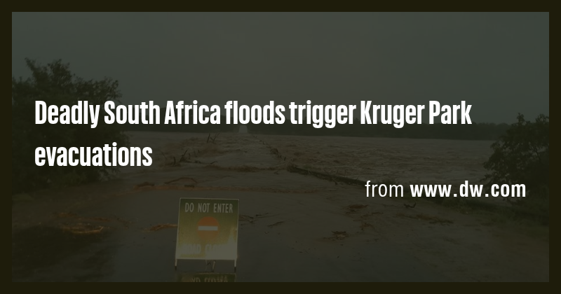 Deadly South Africa floods trigger Kruger Park evacuations - Briefly