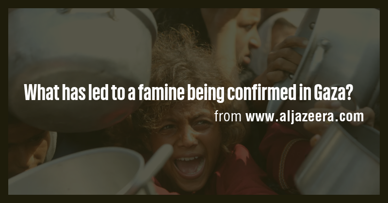 What has led to a famine being confirmed in Gaza? - Briefly