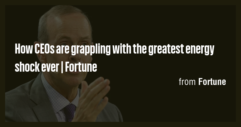 How CEOs are grappling with the greatest energy shock ever | Fortune ...