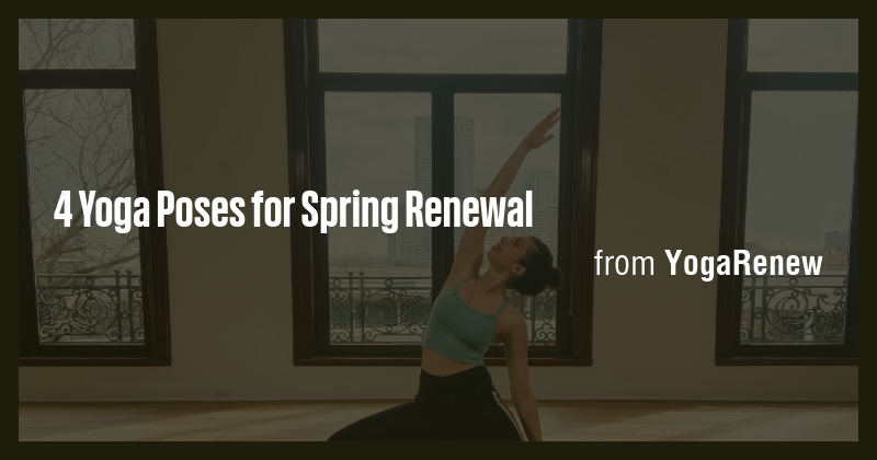 4 Yoga Poses for Spring Renewal - Briefly